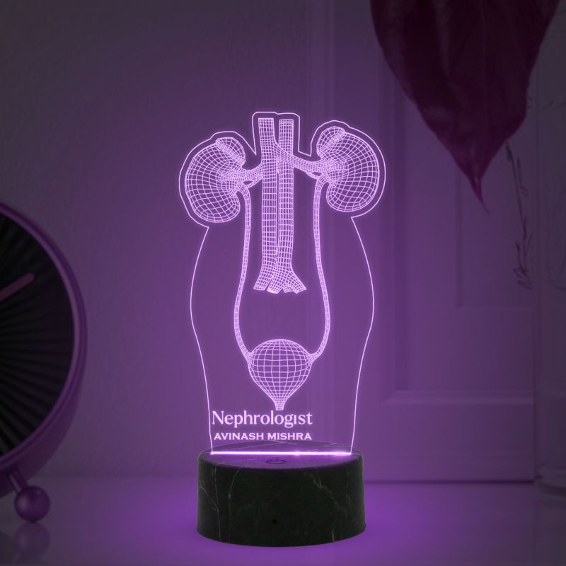 3D Illusion Kidney Led Lamp Nephrologist Kidney Light Multicolored Night Light with Remote Control